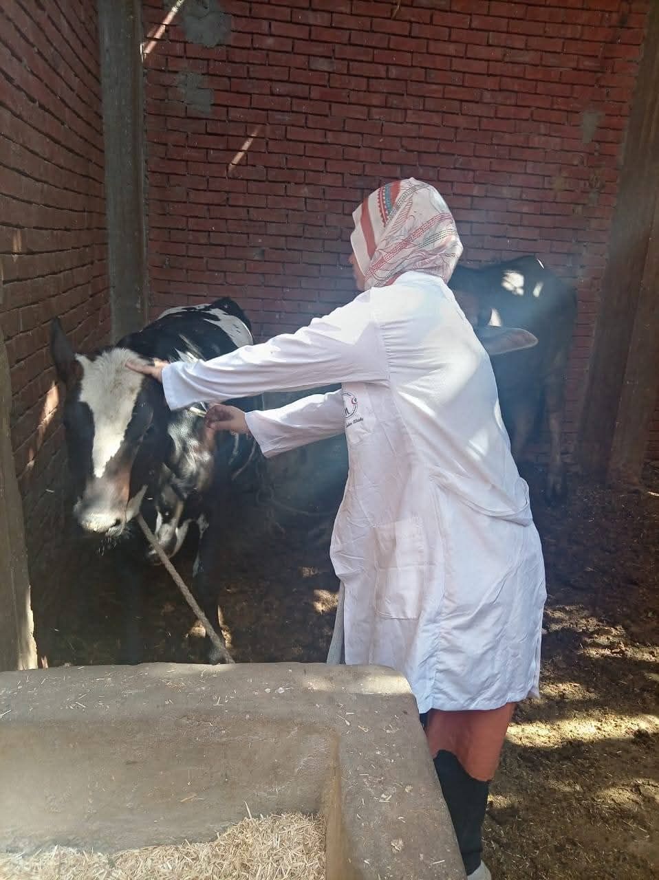 929505af79.jpg