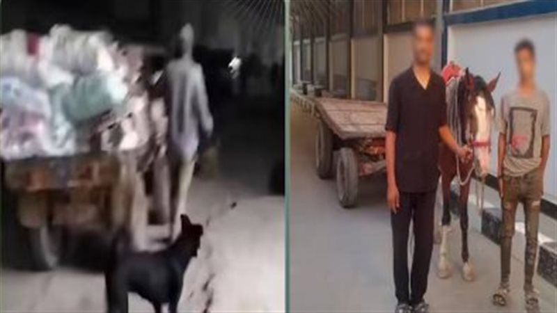 ضبط المتهمين