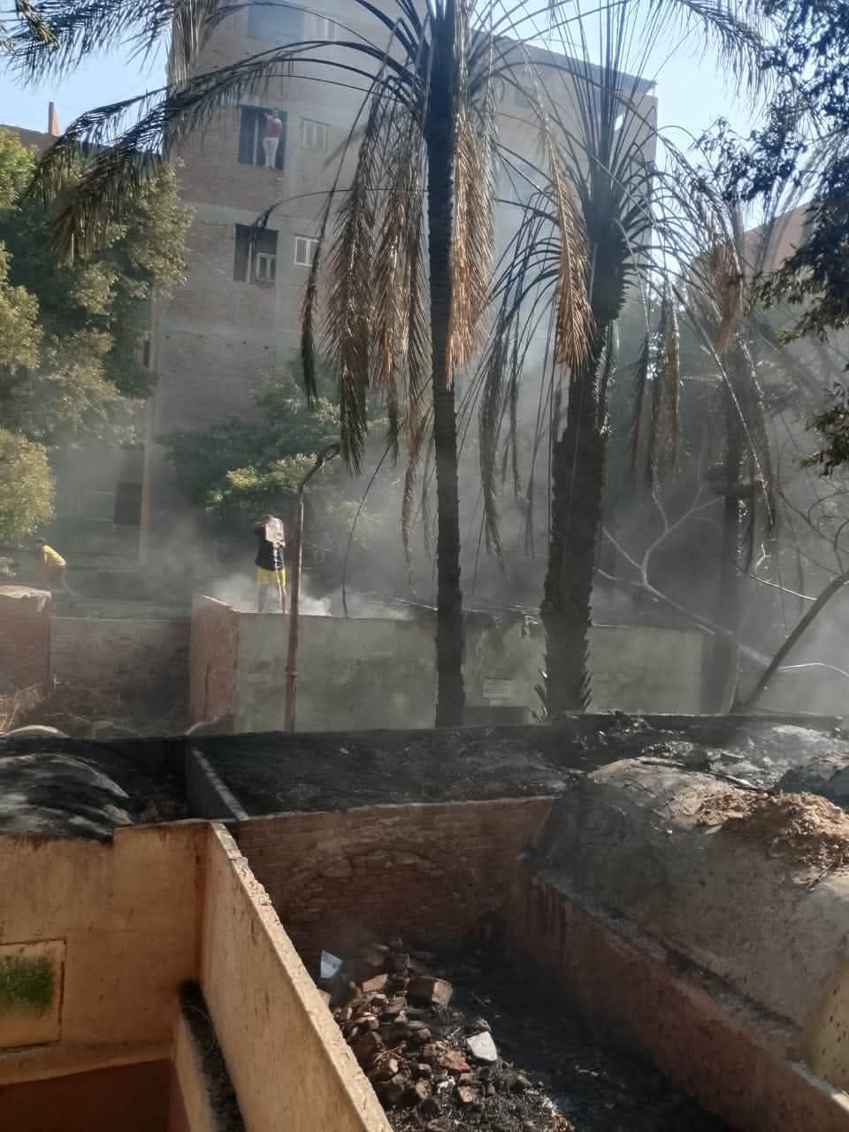 حريق  بمقابر بهتيم شبرا الخيمة، فيتو 