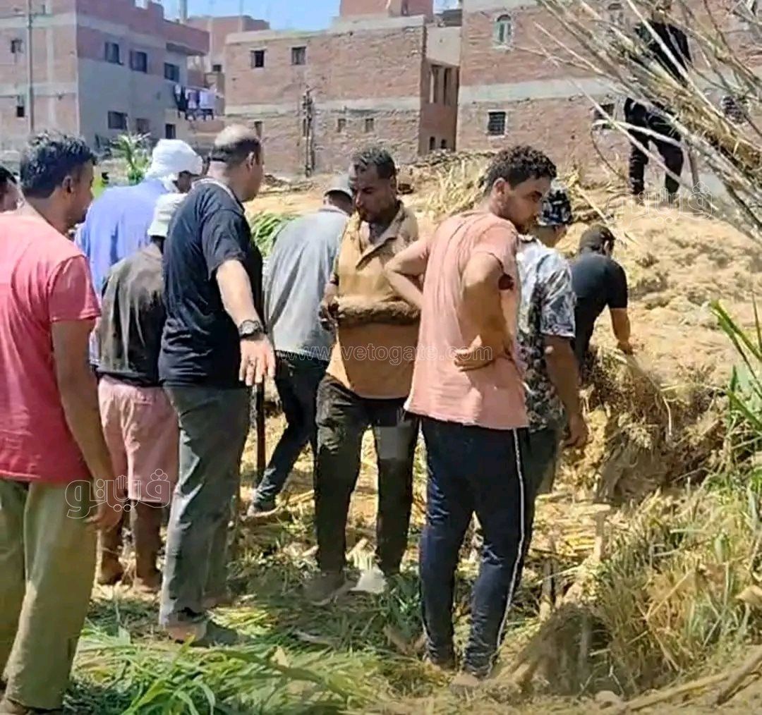 محاولات البحث عن ثعابين سامة،فيتو