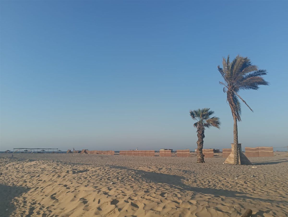 e00095385a.jpg