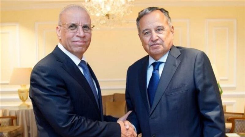 نبيل فهمي والسفير