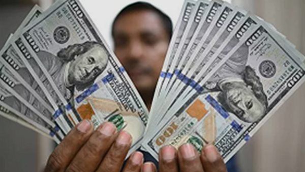 الدولار يرتفع 38 قرشا أمام الجنيه المصري خلال تعاملات اليوم الخميس