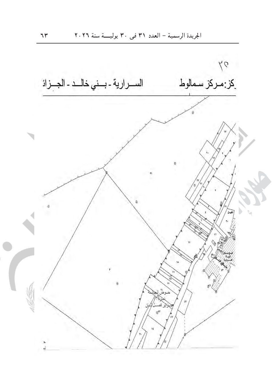 7aa1fdf38d.jpg
