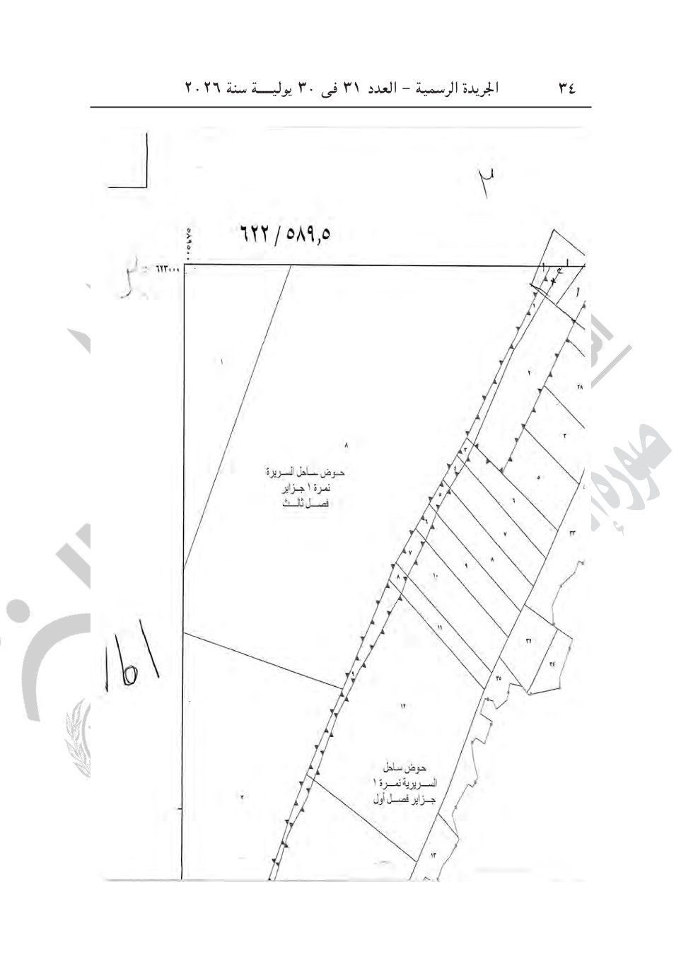 942421a86a.jpg