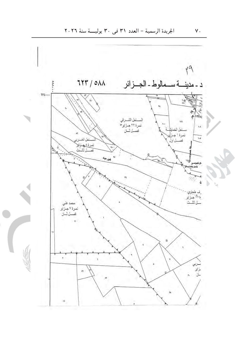 9b8184f6db.jpg