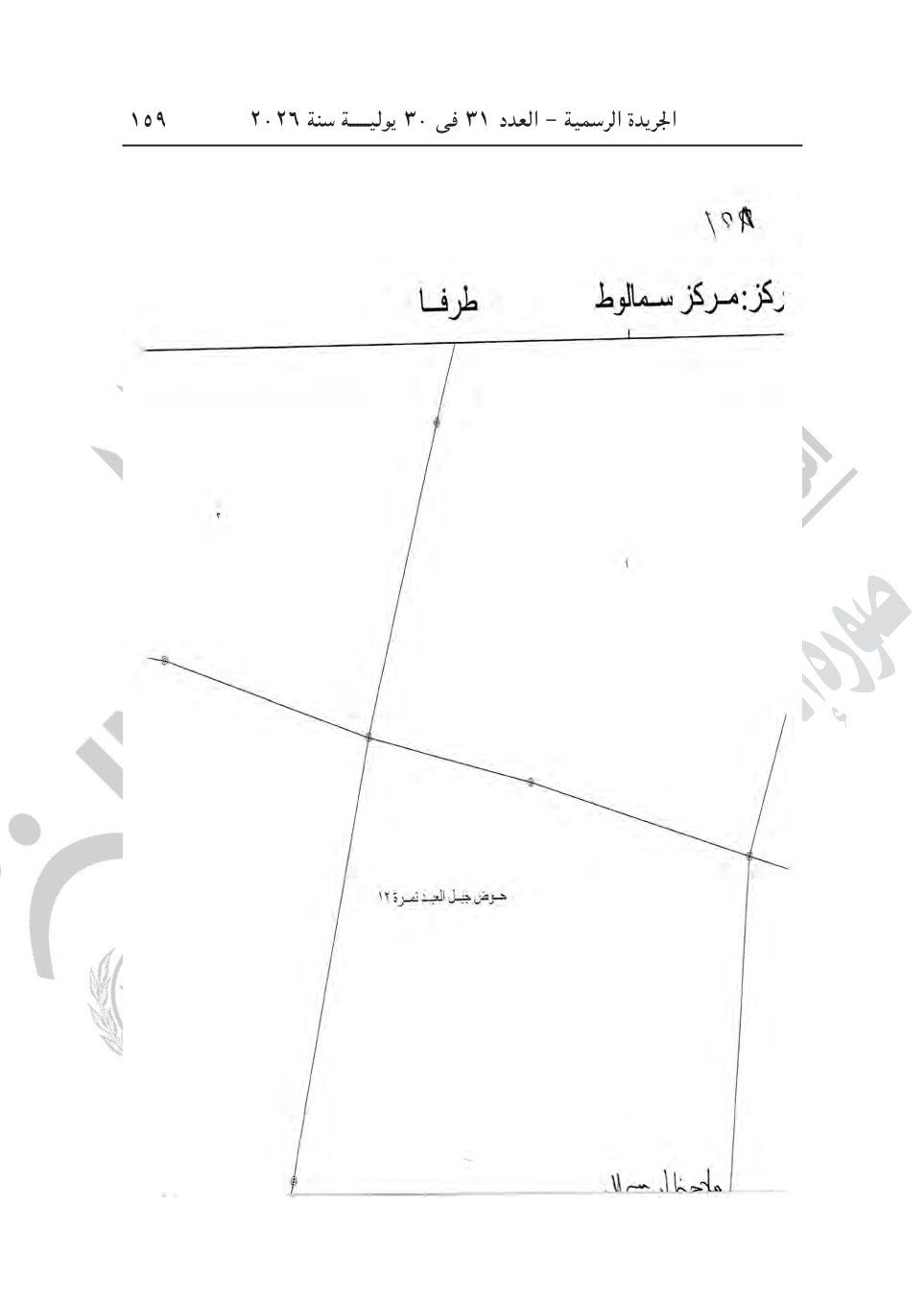 a065c8d866.jpg