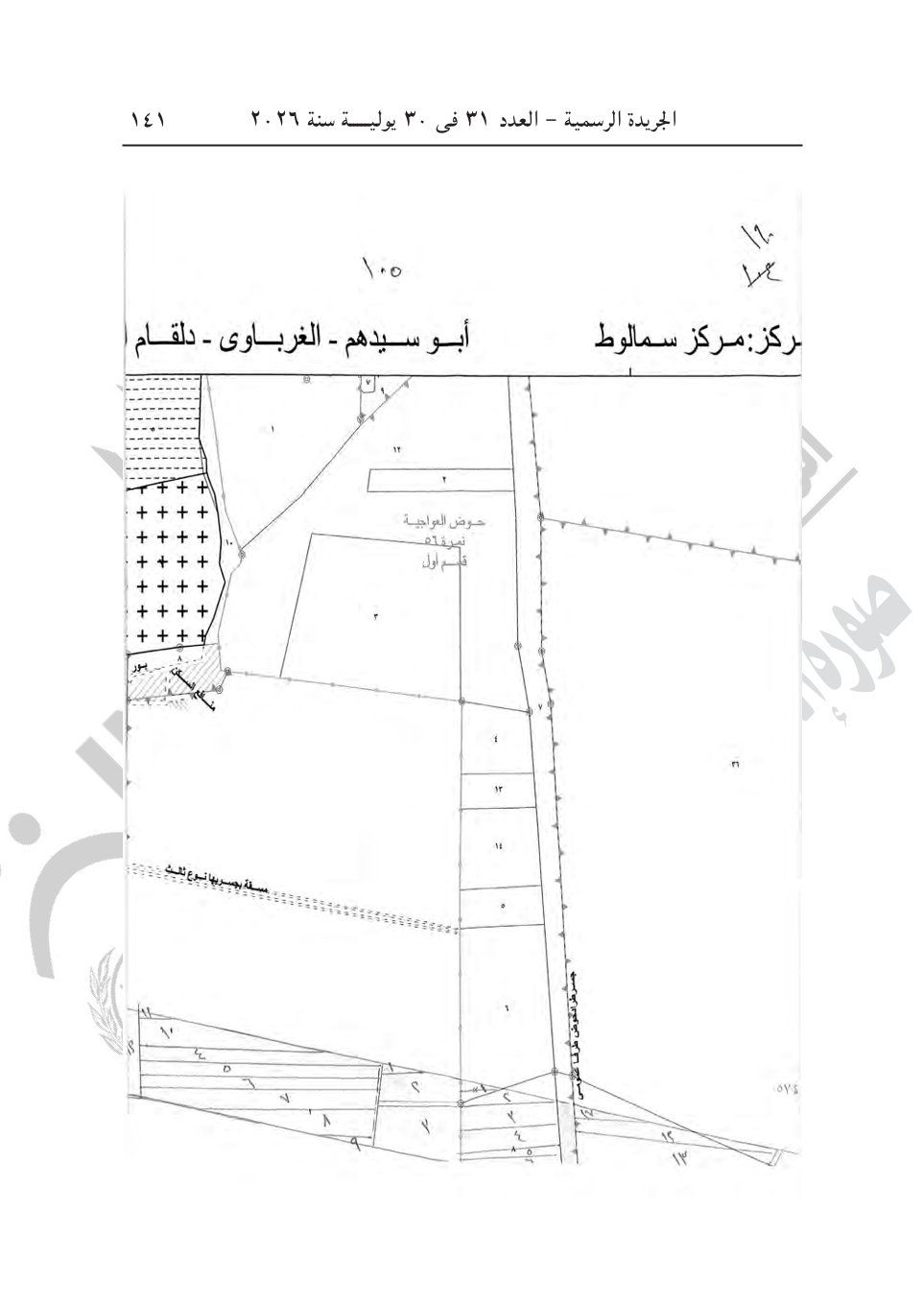 bdb81f835b.jpg