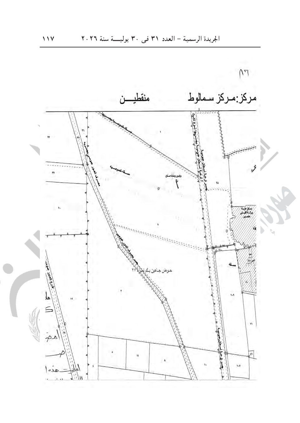 ed82255074.jpg