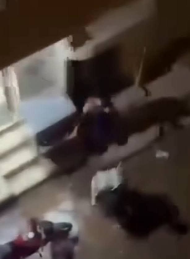 f23f1f3ca6.jpg