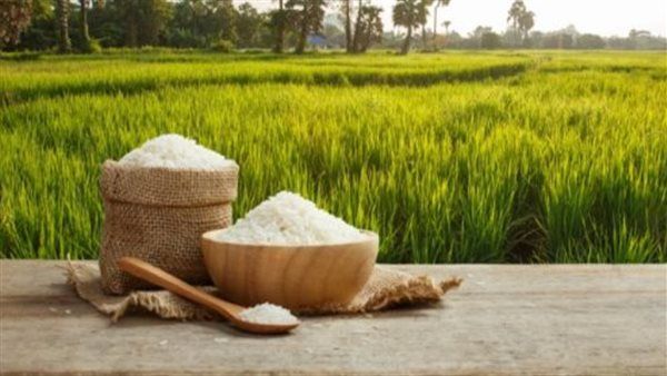 تعرف على سعر الأرز في السوق اليوم الخميس 6-8-2026