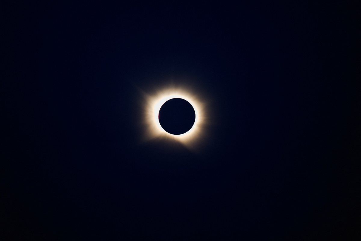a85622ee20.jpg