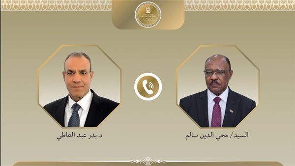 وزير الخارجية يجدد دعم مصر لوحدة السودان وسيادته ورفض أي محاولات لتقسيمه