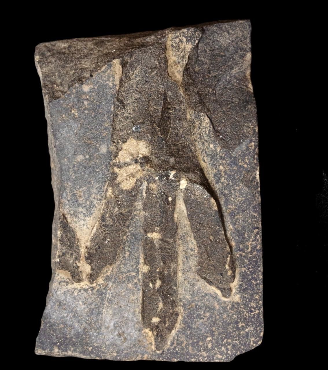 6bc3d02d35.jpg