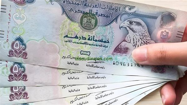 تراجع سعر الدرهم الإماراتي أمام الجنيه في البنوك المصرية اليوم الأربعاء
