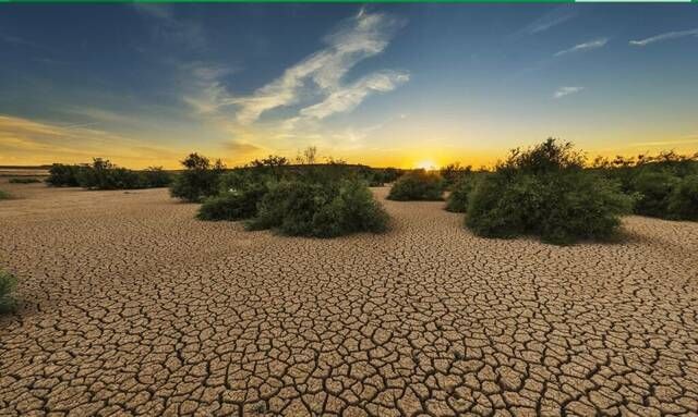 السعودية تقود شراكة عالمية لمقاومة الجفاف تضم 64 دولة وتعهدات بـ2 مليار دولار