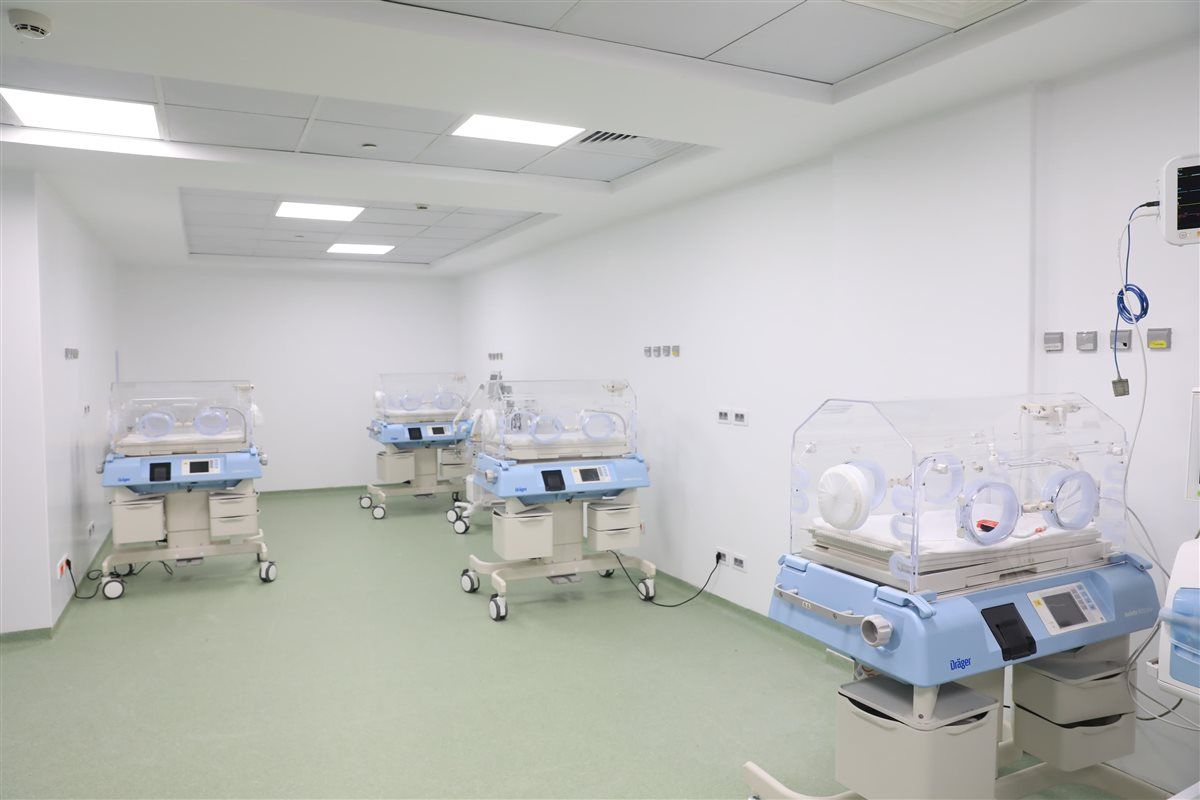 aed8516620.jpg
