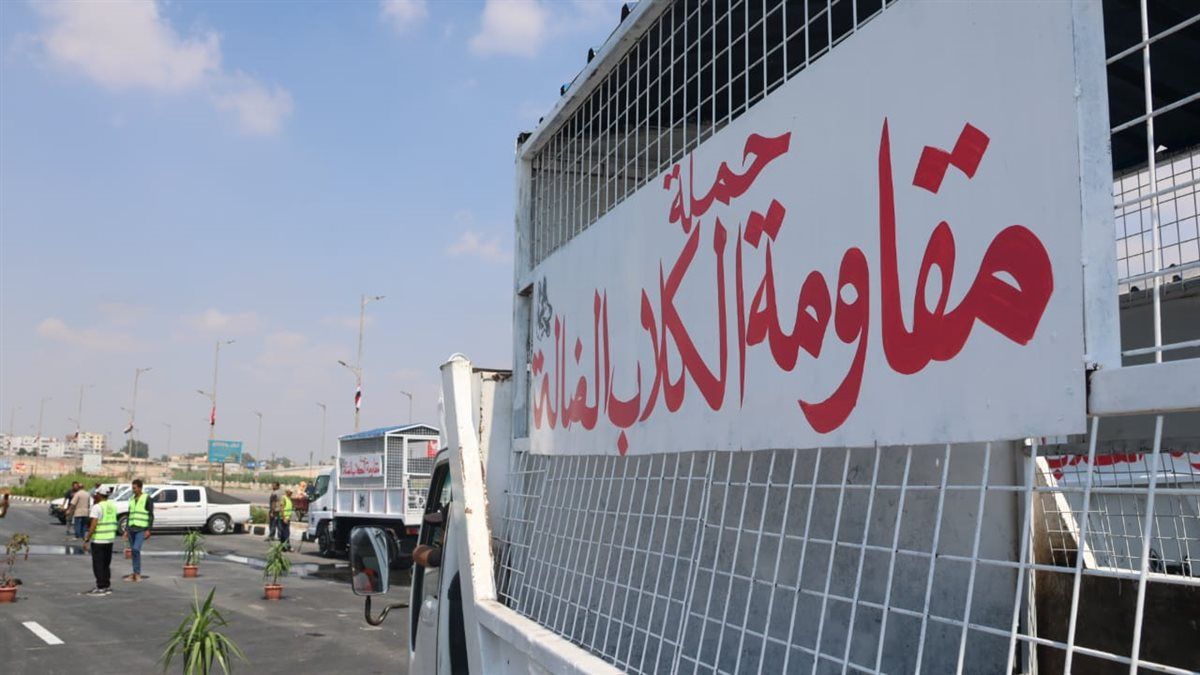 جانب من اصطفاف سيارات السيطرة على الكلاب الضالة،فيتو