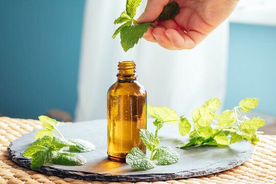 زيت النعناع لفروة الرأس