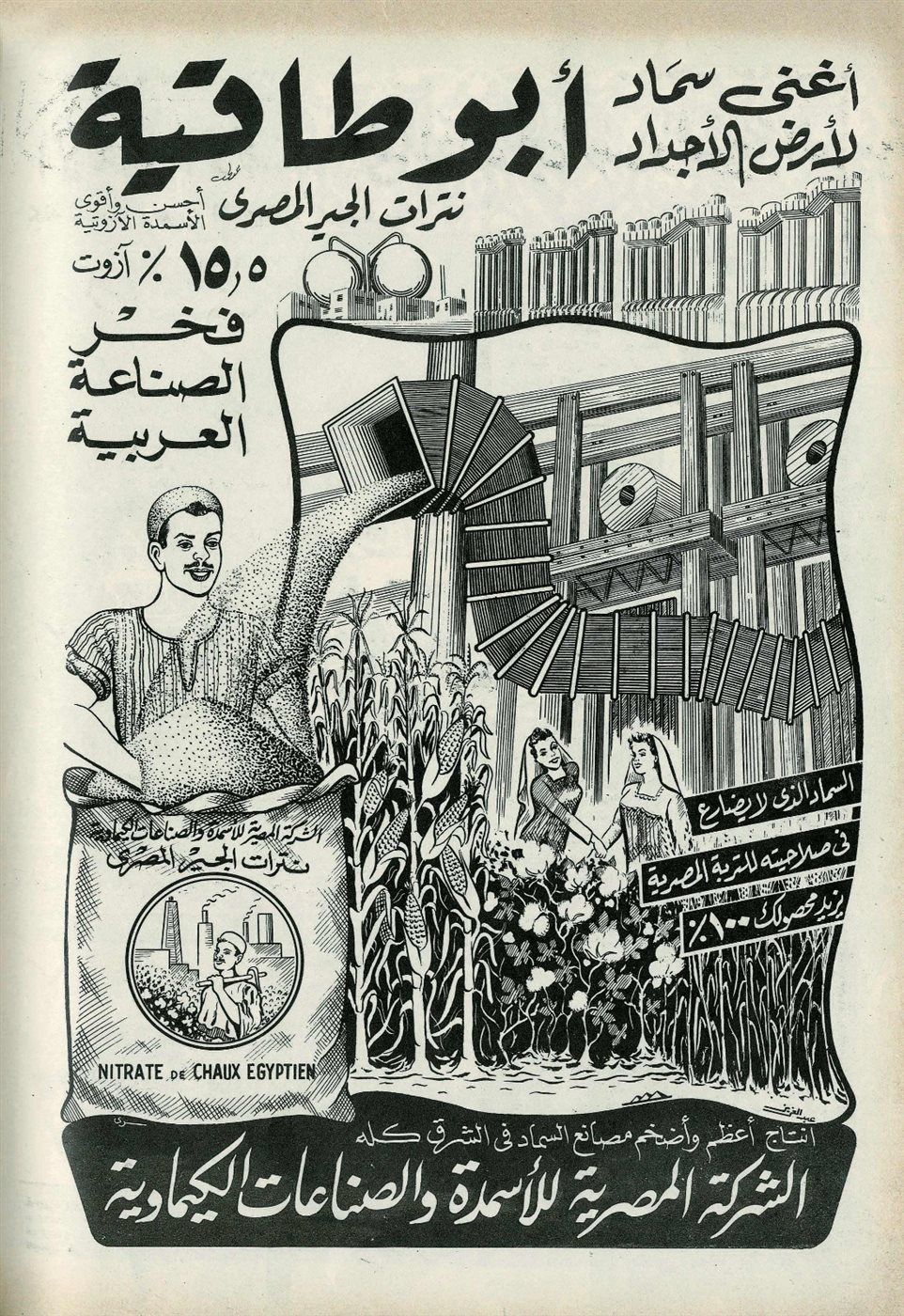 d621551c18.jpg