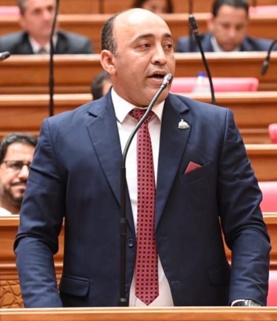 النائب البرلماني حسام حسن