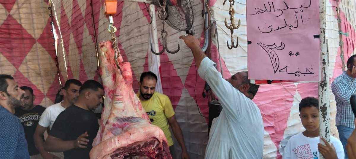 جانب من فاعليات المبادرة، فيتو