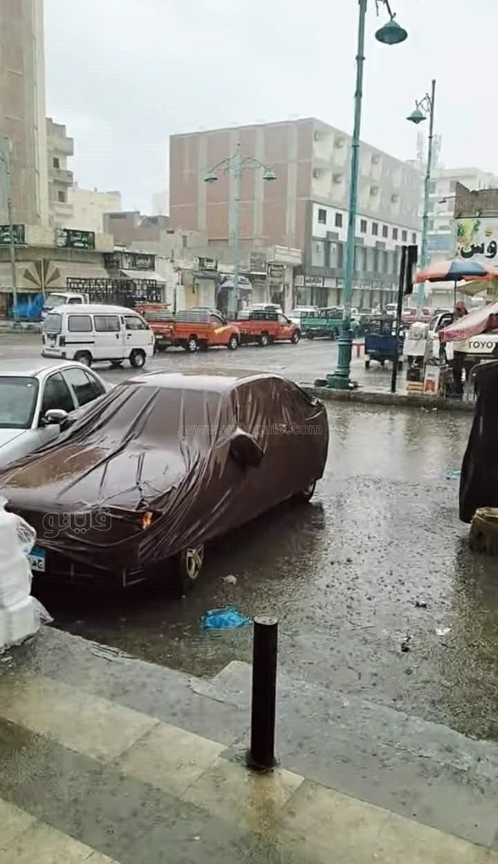 f06c9db6fb.jpg