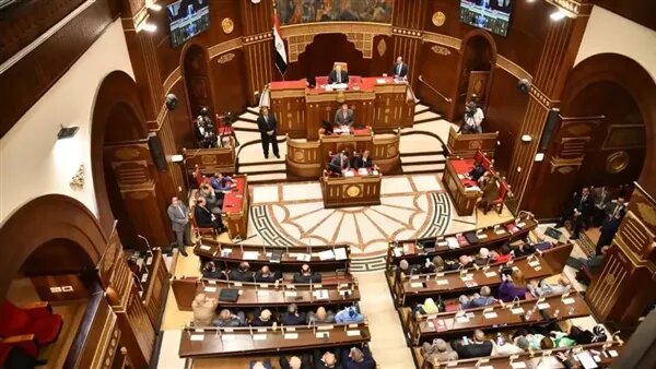 بعد دعوة الرئيس، ضوابط بدء دور الانعقاد الثاني لمجلس الشيوخ