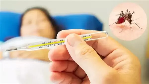 عدد الحالات وصل إلى مستوى قياسي، رفع حالة الطوارئ في فلوريدا بعد تفشي حمى الضنك