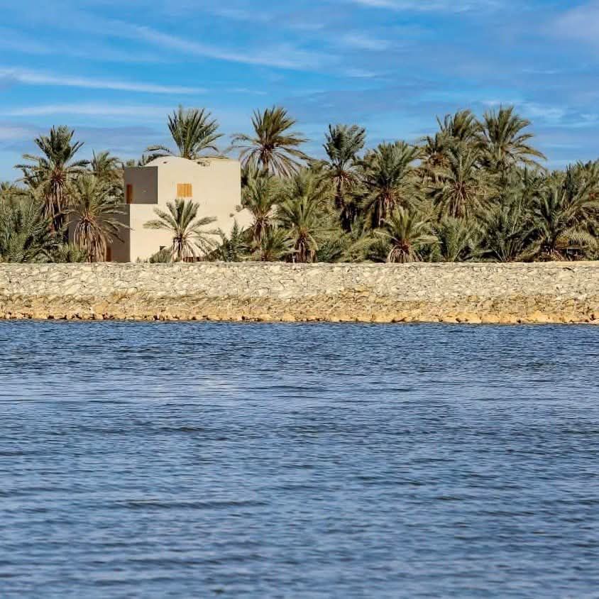 36951ac376.jpg