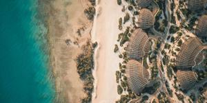 جزيرة شورى" تستقطب العائلات بعروض وتجارب مميزة - ترند نيوز