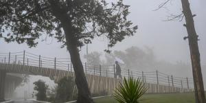 الحالة المطرية تعلق الدراسة الحضورية في بعض الجامعات ومدارس التعليم العام - ترند نيوز