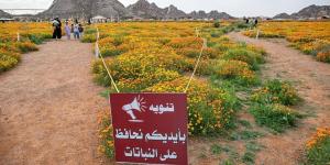 محمية توارن البرية بحائل.. تنوع طبيعي وإرث تاريخي يعززان سياحة المنطقة - ترند نيوز