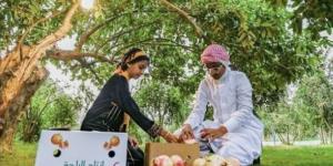 مزارع «رمان الباحة».. إنتاج وفير وفرص تسويق واعدة - ترند نيوز