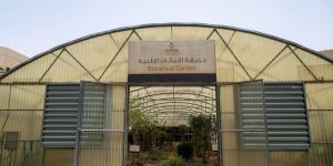 حديقة النباتات الطبية بجامعة نجران.. مبادرة تعزز التعليم والبحث العلمي - ترند نيوز