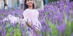 «نبات اللافندر» بالطائف.. يفتح آفاقا استثمارية وسياحية جديدة - ترند نيوز