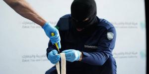 جمرك الحديثة يُحبط محاولة تهريب أكثر من 154 ألف حبة من مادة الإمفيتامين (الكبتاجون) - ترند نيوز