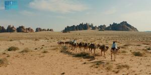 طريق الحج الشامي قديما.. 
رحلة إيمانية بين مسارات ومحطات متنوعة - ترند نيوز