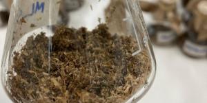 علماء «كاوست» يدرسون تطوير إنزيمات قادرة على تحليل البلاستيك - ترند نيوز