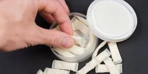 د. فهد العتيبي: أكياس النيكوتين سبباً مباشراً للعديد من المشاكل الصحية - ترند نيوز