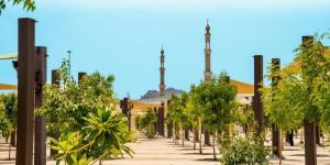 زراعة +60 ألف شجرة لدعم الاستدامة البيئية في المشاعر المقدسة - ترند نيوز