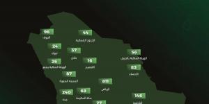 «موهبة» تعلن نتائج مسابقة «كانجارو موهبة 2026 » - ترند نيوز