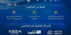 هيئة البحر الأحمر تمنح 3 تراخيص لمنشآت تأجير اليخوت - ترند نيوز