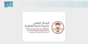 "مركز الحياة الفطرية" يعقد مؤتمرًا للإعلان عن وجهات وتجارب جديدة مرتبطة بالحياة الفطرية والتنوع الأحيائي - ترند نيوز