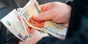 وزير المالية: بدء صرف المرتبات بالزيادة الجديدة للعاملين بالدولة 20 يوليو