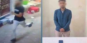 ضبط عاطل خطف هاتفا محمولا من سيدة أثناء سيرها فى الشارع بالبحيرة (فيديو)
