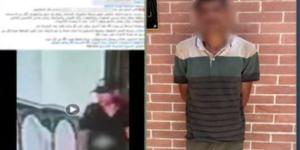 لصٌّ في بيت الله، فيديو سرقة مسجد يقود إلى سقوط المتهم في الدقهلية