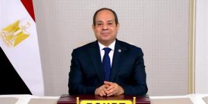 توافق مصري صومالي على تعزيز التنسيق بشأن أمن القرن الأفريقي وباب المندب