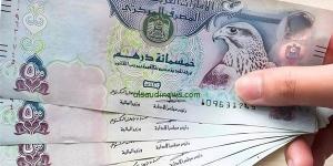 سعر الدرهم الإماراتي مقابل الجنيه في البنك المركزي مساء اليوم الأحد