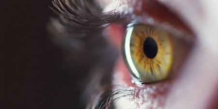 "تحذيرمصري
      شديد
      اللهجة"..
      زواج
      الأقارب
      يُسبب
      "العَمَى"